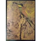 Открытка СССР 14