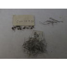 Лампочки сверхминиатюрные.Цена за шт.