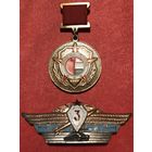 Знак Южная группа войск .классность.цена за два.