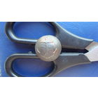 Пуговица Морская                                                                                                                     (4712)