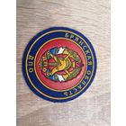 Шеврон МЧС России Брянская ДПО