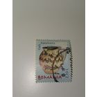 Румыния 2007 румынская керамика