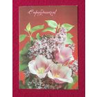 С праздником! Дергилев 1991 г.