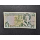 1 фунт 1993 года. Джерси. Распродажа