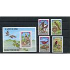 Монтсеррат. Пасха. Птицы