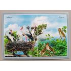 Аисты, соловьи. Открытка, глянец