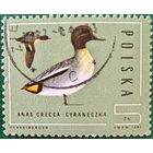 Польша 1985. Фауна. Птицы. Anas Crecca