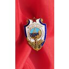 Отличник Военно - Морской стройки . Редкий