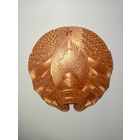 Герб Республики Беларусь