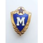 Знак Мастер. Без клейма .Редкий.