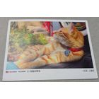 Посткроссинг. Открытка из Тайваня: рыжий кот  (10х15). Прошла почту. Художественная марка.