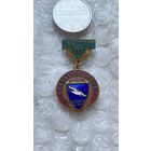 Значок Буревестник, областной совет, 3 место