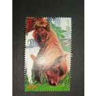 Австралия 1996. Домашние животные