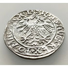 Полугрош 1558, Жигимонт Август, Вильно. Окончания легенд: Ав - L, Рв - LITVA. Коллекционное состояние