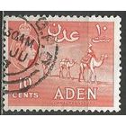 Аден. Королева Елизавета II. Караван верблюдов. 1953г. Mi#50.