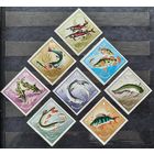 Монголия 1965г. Серия из 8 марок. Пресноводные рыбы. **