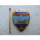 Знак. Десантные силы БФ, 25 лет. тяжёлый