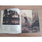 Белавежская пушча. Фотаздымкi В.Гiпенрэйтара(1964г.). Тираж 15 тыс. экз. Первый фотоальбом культового советского фотографа.  Почтой не высылаю.