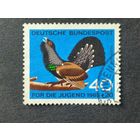 Германия 1965. Глухарь