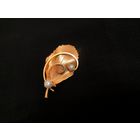 Брошь литсок