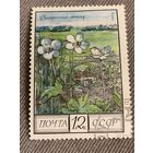 СССР 1975. Ветреница лесная. Марка из серии