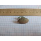 Тыльник. Находка