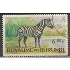 Бурунди. Животный мир страны. Зебра. 1964г. Mi#95.