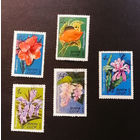 СССР 1971 г. Тропические и субтропические растения. Флора, полная серия из 5 марок #0222-Ф1P43