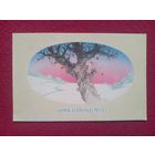 Счастливого Нового Года! Жилис 1984 г. Чистая.