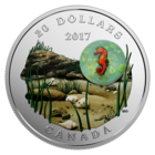 Канада 20 долларов 2017г. Мозаика Муррини "Морской конёк". Монета в капсуле; подарочном футляре; номерной сертификат; коробка. СЕРЕБРО 31,39гр.(1 oz).
