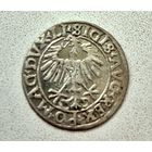Полугрош 1556 г. Сигизмунд II Август.