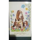 Сарумян. Поздравляем. (1)