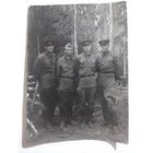 Фото в коллекцию