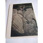 Открытка 1979г. И. Врубель. Царевна-Лебедь.