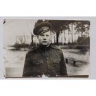 Фото в коллекцию