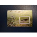 БЕЛАРУСЬ,  РЕДКИЕ РЫБЫ     Почт. БЛОК  1997.