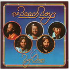 LP The Beach Boys '15 Big Ones'