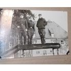 Фото в коллекцию