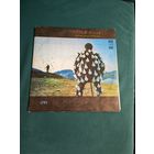 Пластинка Pink Floyd - Delicate Sound Of Thunder