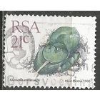 ЮАР. Гастерия Амстронга. 1990г. Mi#794.