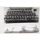 Фото в коллекцию