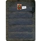 РОССИЯ(ЦР),1908, Девятнадцатый выпуск**   1м,  Заг.106(2) чистая