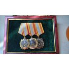 Орден "Трудовая слава" 1.2.3. степени. Панно. Копии