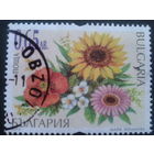 Болгария 2012 цветы
