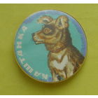 Каштанка. 676.