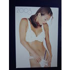 Календарик 2003 г.  Строймир.