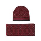 КОМПЛЕКТ (ШАПКА+ШАРФ) PASSIGATTI (ИТАЛИЯ). ОРИГИНАЛ. НОВЫЙ.