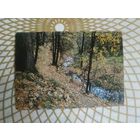 Открытка СССР 1989 год.   Чистая. Ю.Буркин.  Состояние на скане.