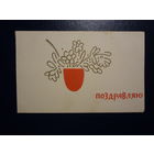 Поздравляю. Цветы в вазе.  1963 г.  подписанная.  двойная.