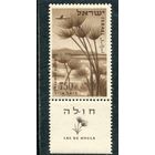 Израиль. Ландшафт